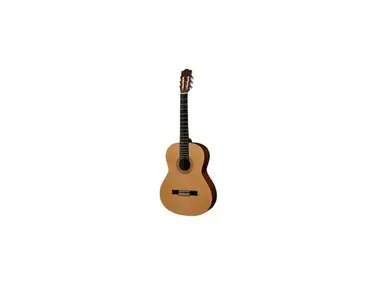 Husets Gitarr 100