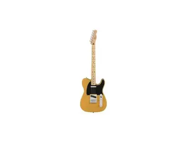 Fender Standard Telecaster MIM Natural Ash FSR