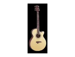 Dean Performer SE main image