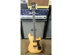 Carvin SB60 main image