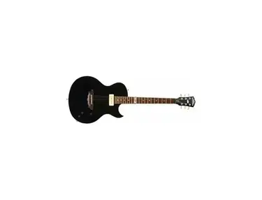 Washburn RW300