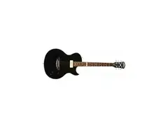 Washburn RW300