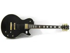 Washburn WP-80