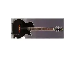 Washburn SBT-21
