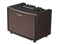 Roland AC33 Rosewood main image