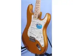 Fender Stratocaster Deluxe Powerhouse main image