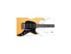 G&L s500