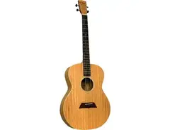 Ashbury AT-40 Tenor Guitar Ashbury AT-40 Tenor Guitar