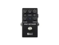 ZCAT Pedals Poly-Octaver 2 main image