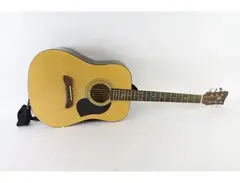 First Act Adam Levine Model 460 Acoustic Guitar main image