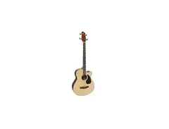 Best Choice Acoustic Electric Bass