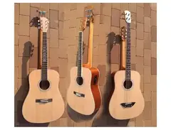 Busuyi Double-Sided Guitar/Bass main image