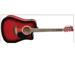 Jay Turser Workhorse Acoustic main image