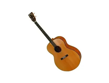 Gold Tone TG-18 Tenor Acoustic, LH