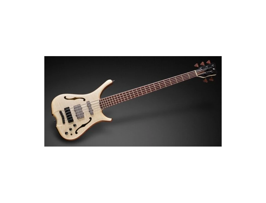 Warwick Infinity 5 String - What To Know & Where To Buy | Equipboard