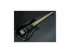 Spector NS-2J