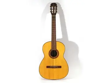 Giannini GN80