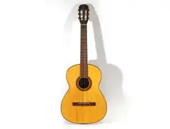 Giannini GN80