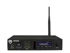 nady PEM 1000 T main image