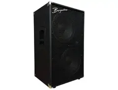 Bergantino NV212T Loudspeaker main image
