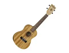 TANGLEWOOD UKULELE TU13Z main image