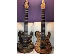 Tsmith Custom Acacia Strain 7 String main image