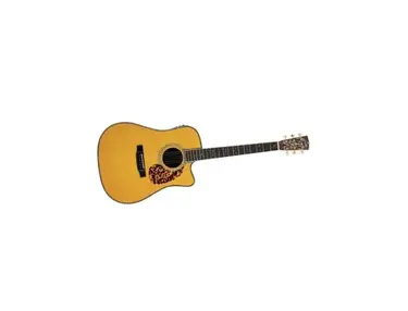 Blueridge BR-180CE