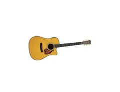 Blueridge BR-180CE
