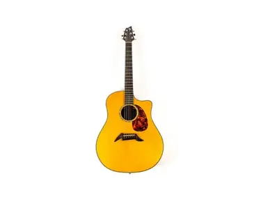 Breedlove Pro Series D25/SRH Acoustic Guitar