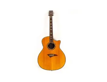 Dean ERSES Acoustic Guitar