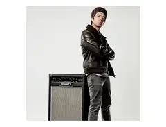 Hiwatt Audio Brothers Era Custom 50 Vertical 2x12 Combo