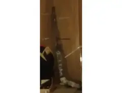 Hockey Stick Whamola