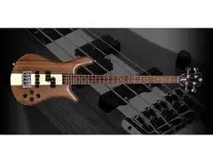 Spector Euro 4 LE1979