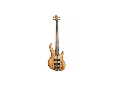 Cort A5 Custom Z