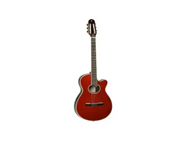 Tanglewood DBT DLX EC