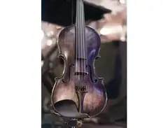 David Gage RV5 SGZ Custom -See Thru Black-