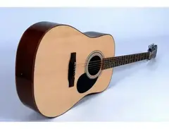 Freshman FA300D All Solid Spruce Top/ Mahogany Body main image