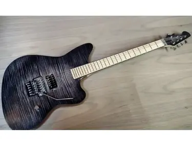 Roehrs Predator Electric Guitar