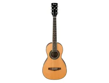 Ibanez PN1 Acoustic Guitar