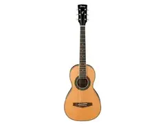 Ibanez PN1 Acoustic Guitar main image