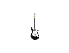 Peavey Raptor