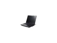 Acer extensa main image