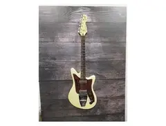 Goya Guitars Panther W-2 main image