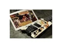 Custom Steinberger GL