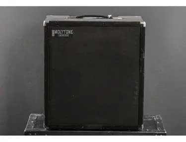 Polytone Mini-Brute IV