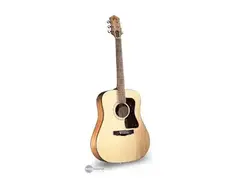 Guild D4 Acoustic main image