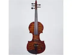 Zeta Jazz Classic 5-string