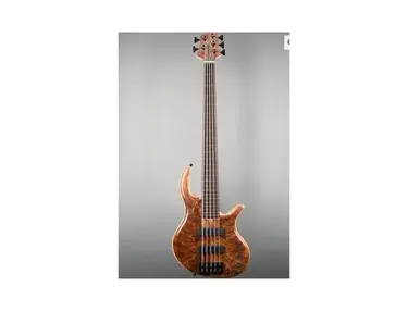 Elrick Handcarved e-volution 5-String Bass