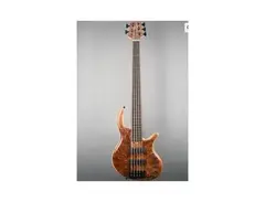 Elrick Handcarved e-volution 5-String Bass