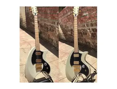 Dunable - Shiv Mehra Custom Guitar
